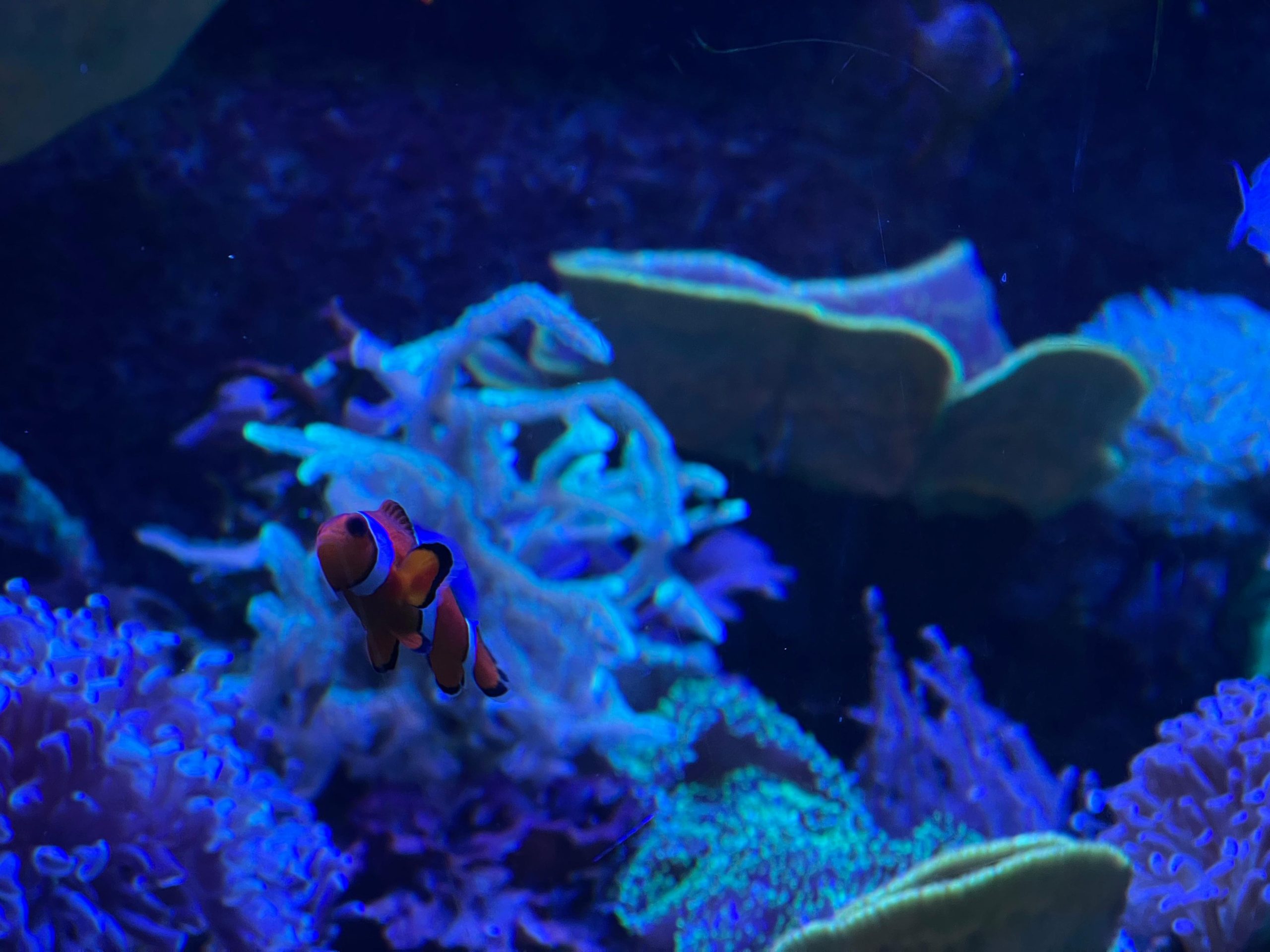 16a66562-be70-4d0d-9016-40469129cb68