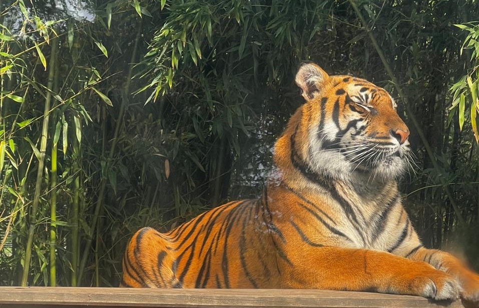 Буфер обмена01