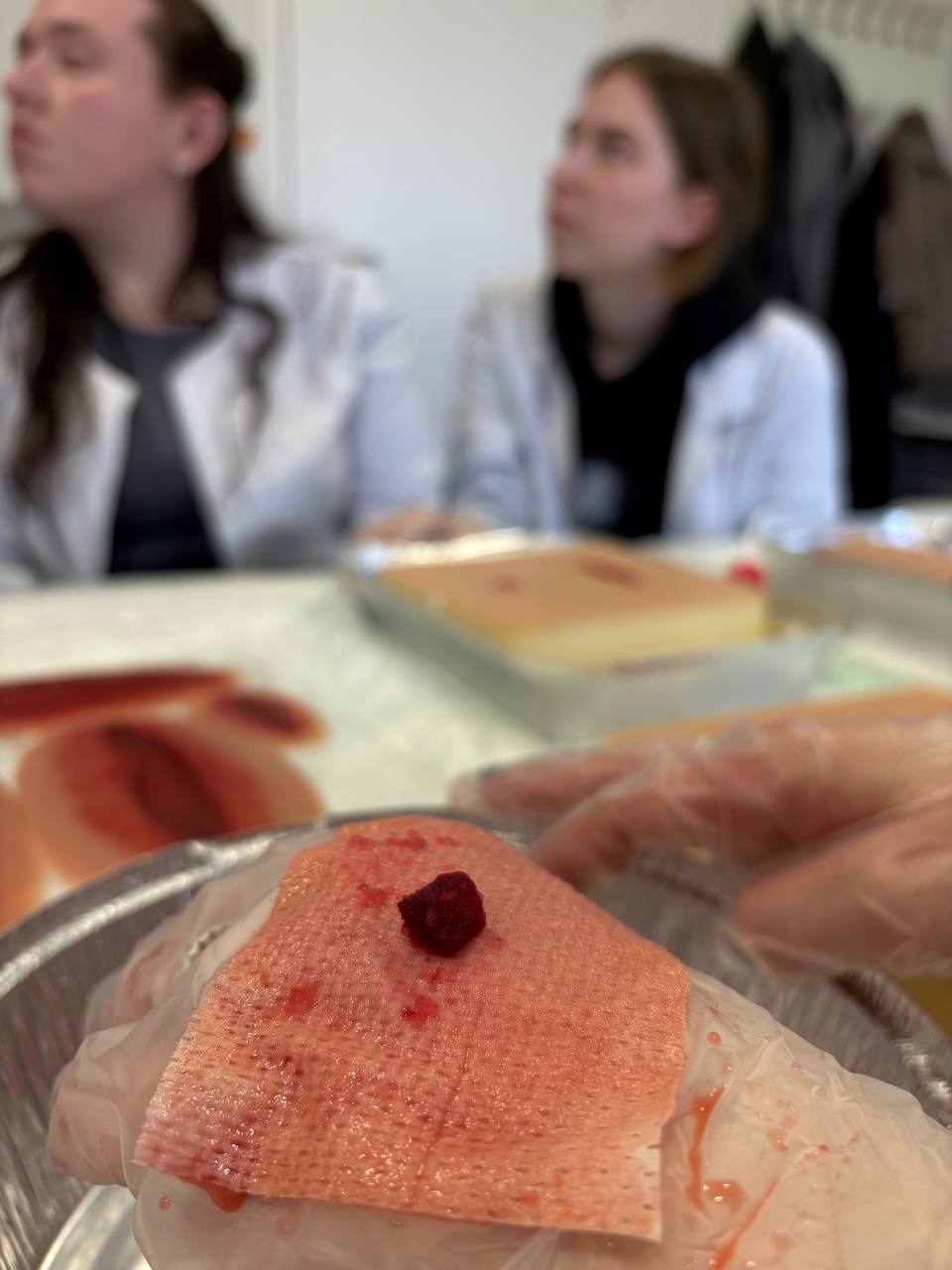 photo_16_2026-03-25_15-23-12