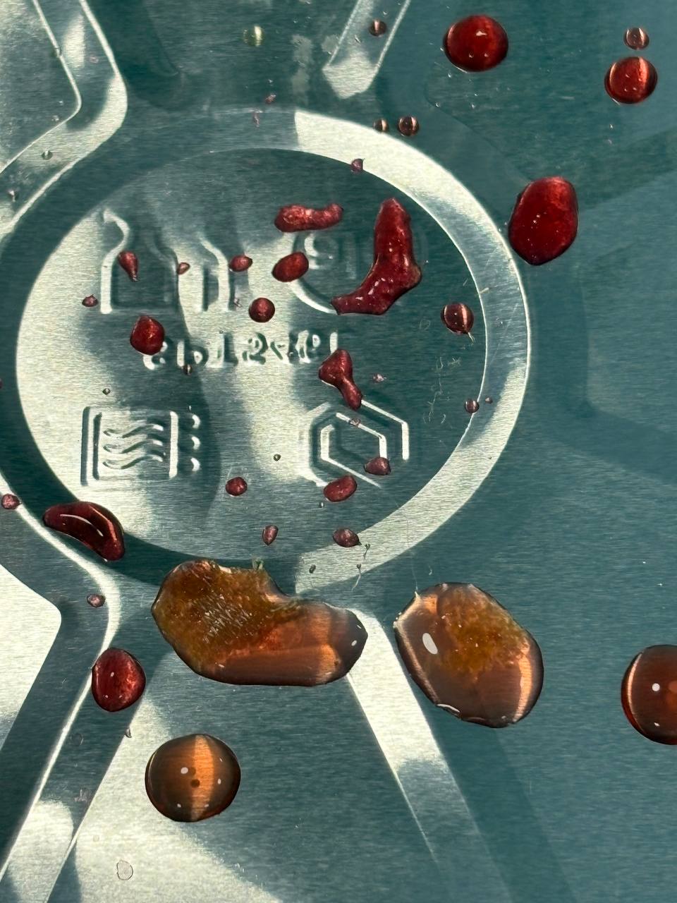 photo_20_2026-03-25_15-23-12